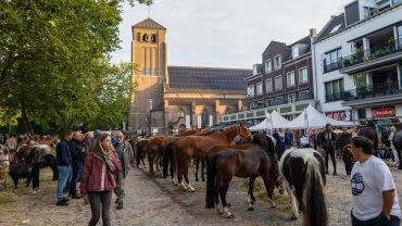 KERMIS, PONYMARKT EN DRAVERIJ 9 t/m 13 augustus 2024