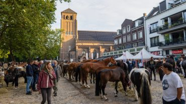 Kermis, Ponymarkt en Draverij 2025